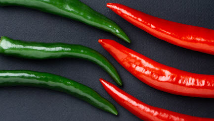 Mexican Cuisine